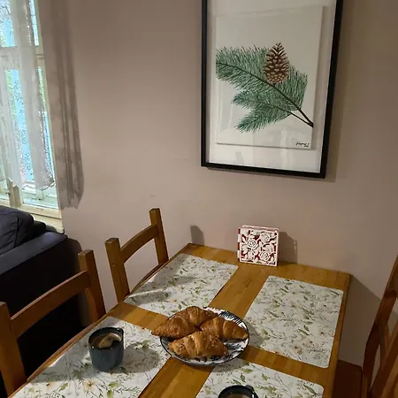 Szyszkowy Zakatek Wisła