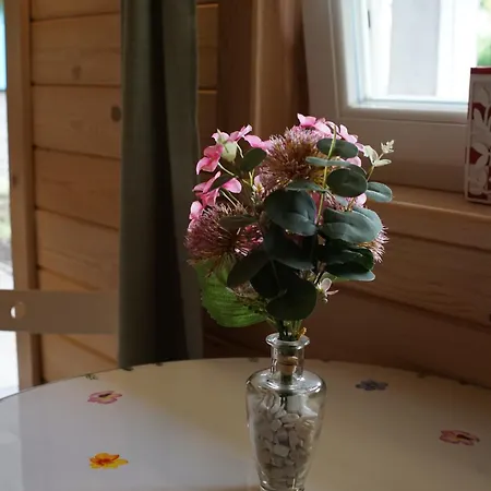 Chalet Szyszkowy Zakatek Wisla