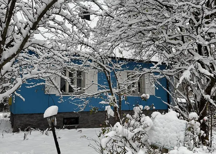 Szyszkowy Zakatek Chalet *